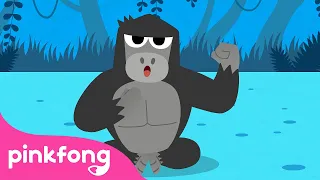 🦍Le Gorille | Chansons d'Animaux | Pinkfong Baby Shark en français ! Chansons pour Enfants