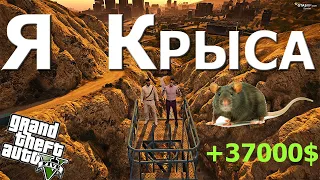 Крысиные бега в ГТА 5 рп | GTA 5 RP Мероприятие за 37000$ от Министерства Культуры. | Sunrise