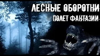 Простых людей в лесу не бывает. Страшные. Мистические. Творческие истории. Хоррор