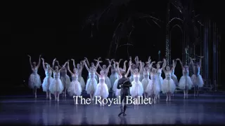 The Royal Ballet. Not What You Think.