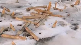 Razor clams are flooded, catching razor clams with salt, everywhere.