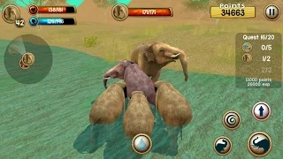 Wild Elephant Sim 3D Android Gameplay #5