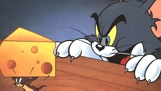 Tom and Jerry! Midnight Snack! Part 1! Level 1 2! Walkthrough game