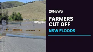 Southern NSW bracing for flood peaks | ABC News