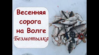 Весенняя сорога на Волге.  Безмотылка