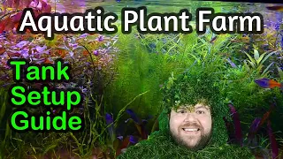 Growing Easy Aquarium Plants for Profit, A Setup Guide for a Home Aquatic Plant Farm Tank