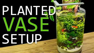 Building a Planted Vase Guppy Aquarium!