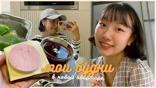 ПОЧЕМУ Я РЕШИЛА ЖИТЬ ОДНА? / МОИ ПЛАНЫ НА БУДУЩЕЕ / ПОЛ ДЭНС  [КОРЕЙСКАЯ СТУДЕНТКА ЧЕРИШ]