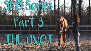 Showmanship Series Pt. 3, The Pivot! | EquestrianBliss