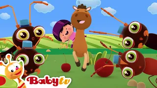 Jalankan Lari Kuda 🐎 | Sajak Anak & Lagu Anak 🎵 @BabyTVIndo