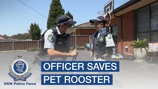 Officer saves the day after 6-year-old boy with leukemia gives up pet rooster - NSW Police Force