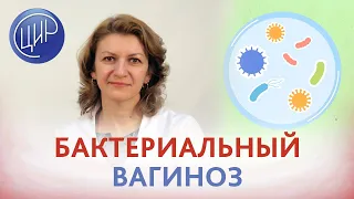 Бактериальный вагиноз. Причины и лечение дисбактериоза влагалища. Микрофлора влагалища Лактобактерии