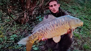 pêche de la carpe en coup du soir, une belle surprise a la clef !!