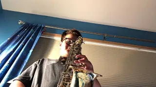 Baby shark-saxophone