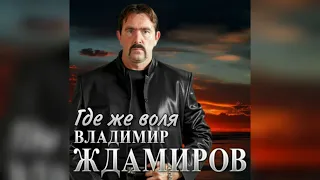 Владимир Ждамиров - Где же воля (караоке)