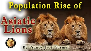 Population Rise of Asiatic Lions in Gujarat | Conservation Efforts of Asiatic Lions |