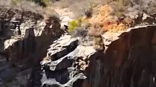 Odd creature filmed at Barrington Quarry in Western Australia Breakdown