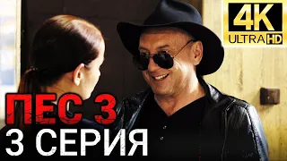 Сериал ПЕС 3 сезон - 3 серия - Все серии подряд в 4К - Смотреть онлайн в хорошем качестве