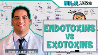 Endotoxins vs. Exotoxins