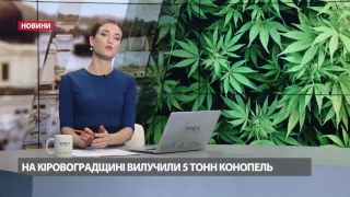 Випуск новин за 11:00: Псевдовибори в "ЛНР" та "ДНР"