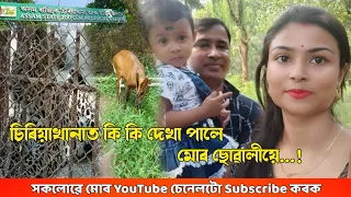 Assam state zoo // Guwahati zoo//assamese new vlog videos - lily vlogs