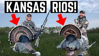 TWO BIRDS IN 24 HOURS!! | Kansas Turkey Hunting!