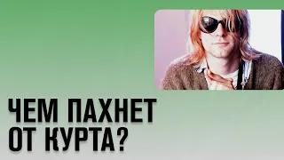 ЧЕМ ПАХНЕТ ОТ КУРТА ? #shorts