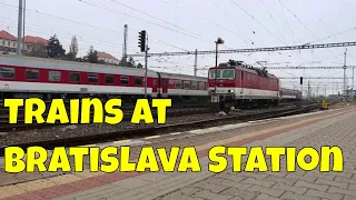 Trains at Bratislava Station