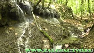 Dračia Studňa - Biele Karpaty (Waterfall)