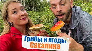 Собираем грибы и ягоды на Сахалине!
