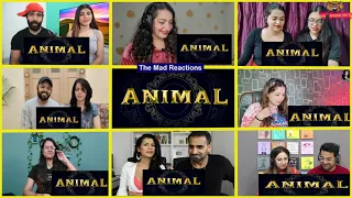 ANIMAL (Official Teaser): REACTION Mashup | Ranbir Kapoor | Sandeep Reddy Vanga #animalteaser