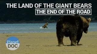 The Land of the Giant Bears, The End of the Road | Nature - Planet Doc Full Documentaries