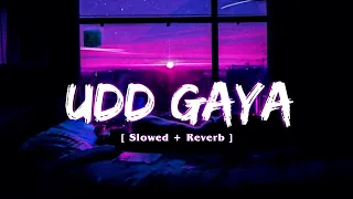 Udd Gaya [Slowed + Reverb] - B Praak | Jaani | Lekh | Text Audio | Vikram Music