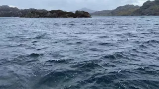 iPhone 12 video test in windy Norway