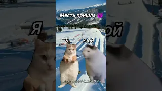 Снежная горка#мем #жиза #анимация #шура #котики #смех #2024