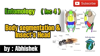 Insects body segmentation | Insects heads and it's types | Entomology lec 4 | Go For Agriculture