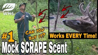 Best Mock Scrape Scent and Strategies