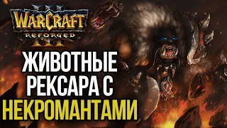 ЖИВОТНЫЕ РЕКСАРА С НЕКРОМАНТАМИ: Безумие в Warcraft 3 Reforged