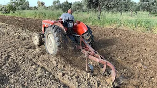 1997 MODEL MASSEY FERGUSON 240S