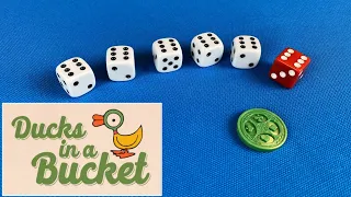 How to Play Ducks in a Bucket | roll dice, push your luck, hope for ducks | Skip Solo