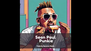 Sean Paul - Punkie (Federico Romanzi Remix)