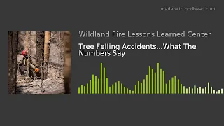 Tree Felling Accidents - What the Numbers Say