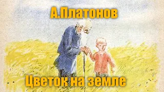 А Платонов "Цветок на земле"