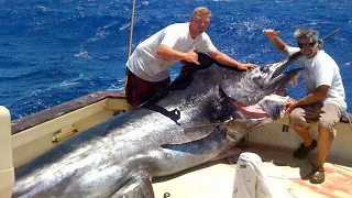 Amazing Fastest Giant Bluefin Tuna and Swordfish Fishing skill - Most Satisfying Sea Fishing Videos