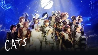 The Jellicle Ball Dance | Cats the Musical