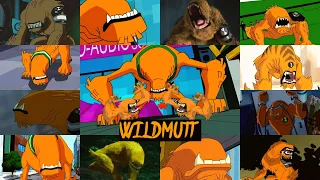 All wildmutt transformations in all Ben 10 series