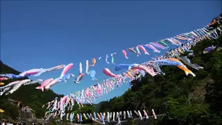 かんな　鯉のぼり祭り2015