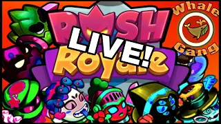 RUSH ROYALE LIVE STREAM | LET'S GET READY TO RUMBLE!