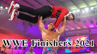 WWE All Finishers 2021 (male)