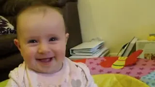 Baby giggling at husky howling